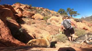 Hiking Thor's Hideout Trail and The Red Hill Cedar City, Utah