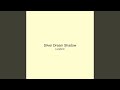 Silver Dream Shadow