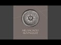 Melancholy Moonlight