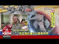 台灣原生種首烏 「首烏飢素」特高抗老化