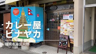 福岡グルメ・カレー屋「ビナヤカ」でエビカレー(福岡市南区向野)