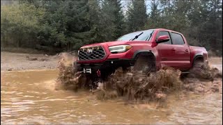 Exploring Scenic Tahuya WA, ORV Park in my 3rd Gen Toyota Tacoma TRD OR - (11-2-24)