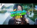 NEW SLOWED TROPICAL TIKTOK MIX 2024 | DJ RONZKIE REMIX 2024 | PHILIPPINES POPULAR SONGS