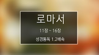 성경 읽기: 로마서 11장 - 16장