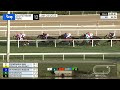 ペガサスwcターフ2025 pegasus world cup turf invitational stakes presented by qatar racing 2025