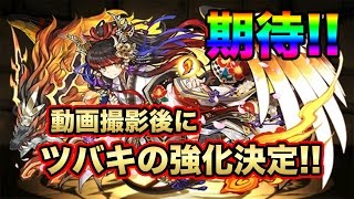 【パズドラ】強化が決まったので強化される前のツバキラスト動画！(になるはずw) アグニ降臨 マルチ