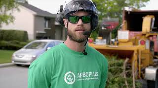 Emploi arboriculteur grimpeur au Québec - Arboplus