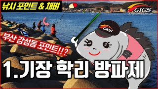 1.기장 학리 방파제 낚시 포인트와 채비 + 낚시가능여부확인완료! [긱스코리아]