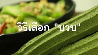 วิธีเลือกบวบ มาทำอาหาร | ครัวพิศพิไล