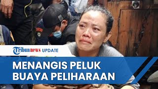 Tangis Buriah Pecah, Buaya 2 Meter Peliharaannya Dievakuasi karena Dianggap Resahkan Warga