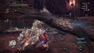 HBG重弩散彈 Solo Gold Rathian/金火龍 02'05'93