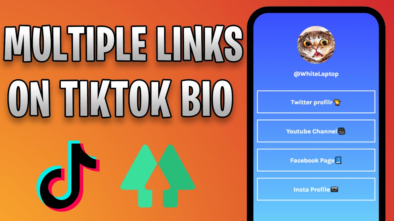 How To Make A Linktree On TikTok - YouTube