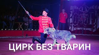 Цирк без тварин. Черкаські активісти борються за волю звірів