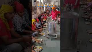 गुरुद्वारा लंगर #गुरुद्वारा #लंगर  #gurudwara  #langar  #langarseva  #gururandhawa  #gurudwarasahib