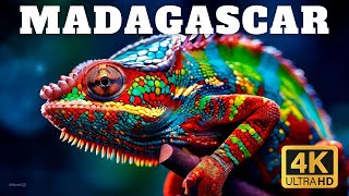 MADAGASCAR - DESCRUBE LOS SECRETOS Y MISTERIOS DE UN LUGAR ÚNICO | Documental Completo