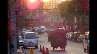 【バックパッカー旅・中国雲南省編】馬車の走る大通りから路地裏の商店に潜入！そこに見た驚きの商品とは？