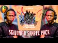 (FREE🔥) SGIDONGO SAMPLE PACK (2025) | TopDawgSession Compilation 3 |