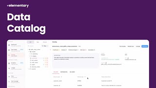 Elementary Data Catalog