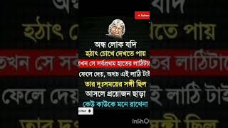 যদি অন্ধ লোক হঠাৎ করে চোখে দেখতে পায় তাহলে সে সর্বোত্তম তার হাতের লাঠিটা সে ভুলে যায় ######দুঃখের