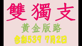 【今彩539神算】7月2日 上期中28 31 38 今彩539 雙獨支