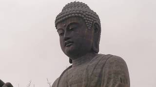 牛久大仏  / Ushiku Daibutsu