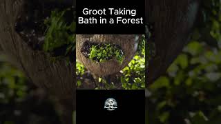 Groot Taking Bath in Forest 🤣🤣 #shorts #groot #foryou