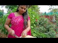 chakotha grilled pomelo pomelo fruit salad outdoor cooking instant recipes grapefruit