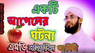 আপেল নিয়ে বিখ্যাত গজল |এমডি সাইফুদ্দিন আমিনী গজল |Md saifuddin amini gojol||