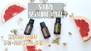 [ doterra l 2022년 2월 보고데이 3일차 ㅣ 도테라오일을 가장 저렴하게 사는 방법 ( 코파이바, 자몽, 레몬그라스 )