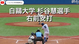 白鷗大学 杉谷慧選手 右前安打