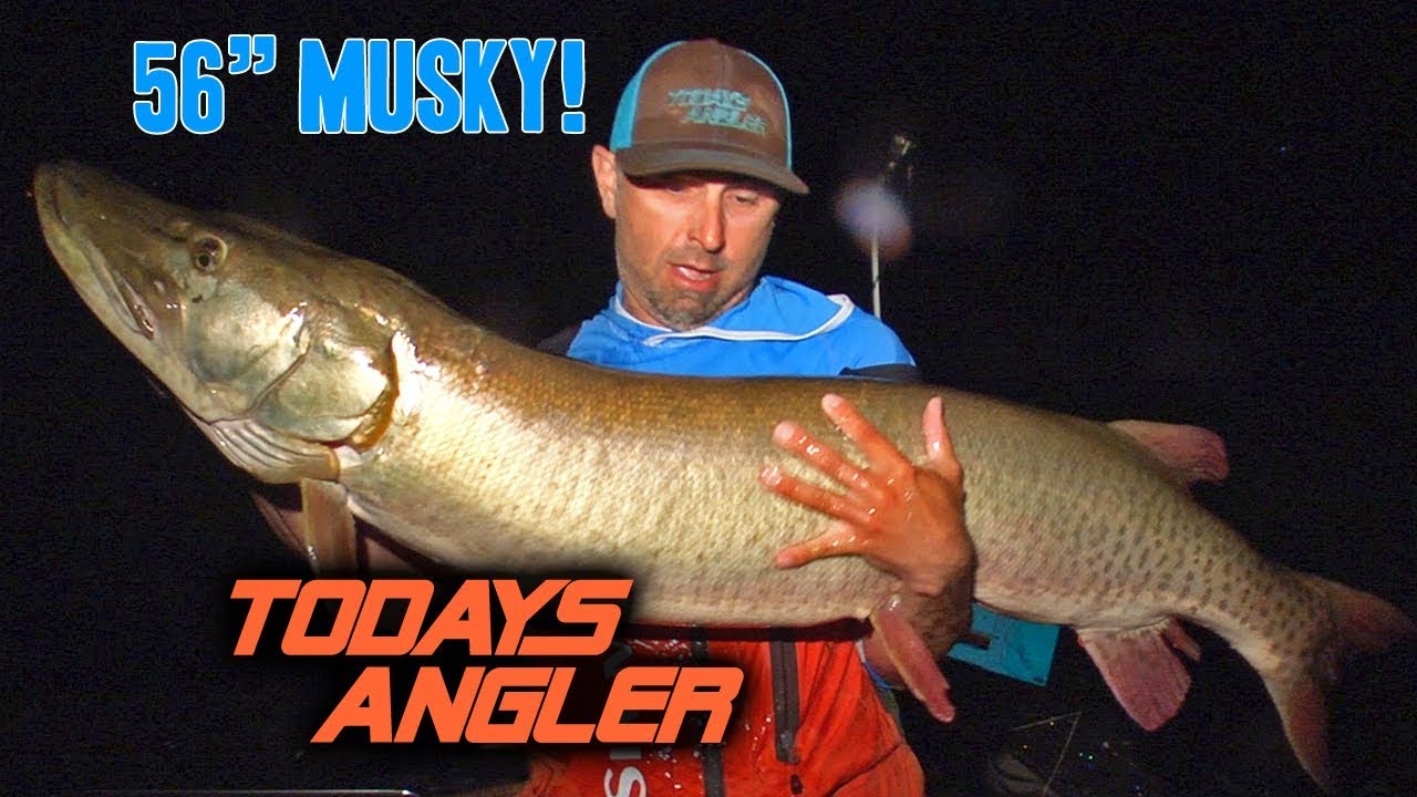 GIANT 56 INCH MUSKY Ft Jon B And Chris Bulaw (Jon B Catches First Musky ...