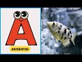 🐟 ABC Sea Animal Song | Fun Alphabet Adventure for Kids | Learn with Fishy Friends! 🎶 | #abcd #kids