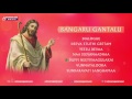 duppi neetivaagulakai bangaru gantalu jesus devotional songs yesu bhakthi geethalu