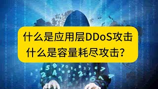 什么是应用层DDoS攻击，什么是容量耗尽攻击？