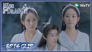 【Miss The Dragon】EP14 Clip | Real or fake! Can he recognize who is the real Ayu? | 遇龙 | ENG SUB