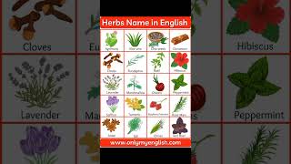 Herbs plants