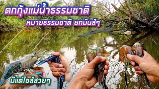 ตกกุ้งแม่น้ำ หมายธรรมชาติ🦐🌿 โดนไอ้ก้ามยักษ์ดึกดำบรรพ์!!😱 กินรัวๆ ยกมันส์ๆ