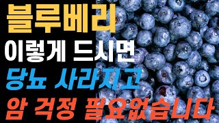 블루베리 이렇게만 드시면 암, 당뇨병,고혈압 예방,관리할 수 있습니다!!