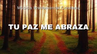 MÚSICA INSTRUMENTAL CRISTIANA / TU PAZ ME ABRAZA