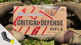 Hornady Critical Defense .223 Remington 55gr. FTX Nickel Plated Case//Velocity Test