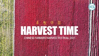 It's harvest time! Chinese Famers' Harvest Festival Celebrated Nationwide