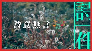 伴眠音樂： 詩意無言 伴您入眠  20230417【詩伴直播】#傳統文化 #中國 #古詩詞 #睡眠#音樂