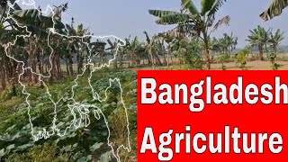 Bangladesh agriculture land observation