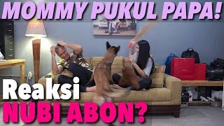 MOMMY PUKULIN PAPA PAKE SAPU LIDI! GIMANA REAKSI ANABUL?