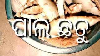 ପାଲ ଛତୁ .....