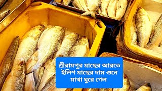 serampore Fish Market /বর্ষা কালে ইলিশের খোঁজে সকাল সকাল শ্রীরামপুর  মাছের আরতে গিয়ে চমকে উঠলাম