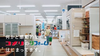 【コメリテレビCM】コメリリフォーム　子どもリポーター　感動篇　15秒