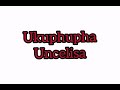 ukuphupha uncelisa kubika lokhu