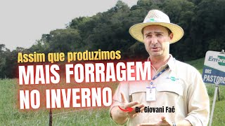 Forragem de inverno como tu NUNCA VIU