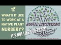 Want to work at a Native Plant nursery? It's not like you think!